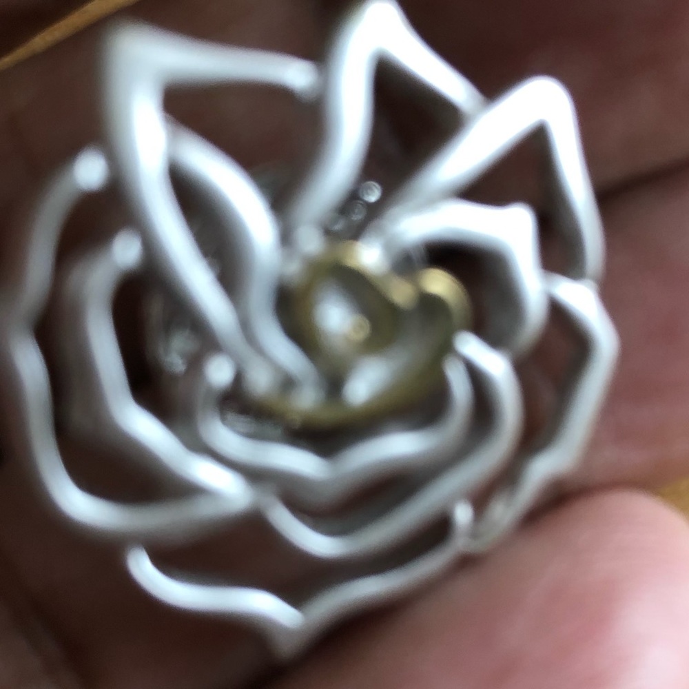 Jewelry pin